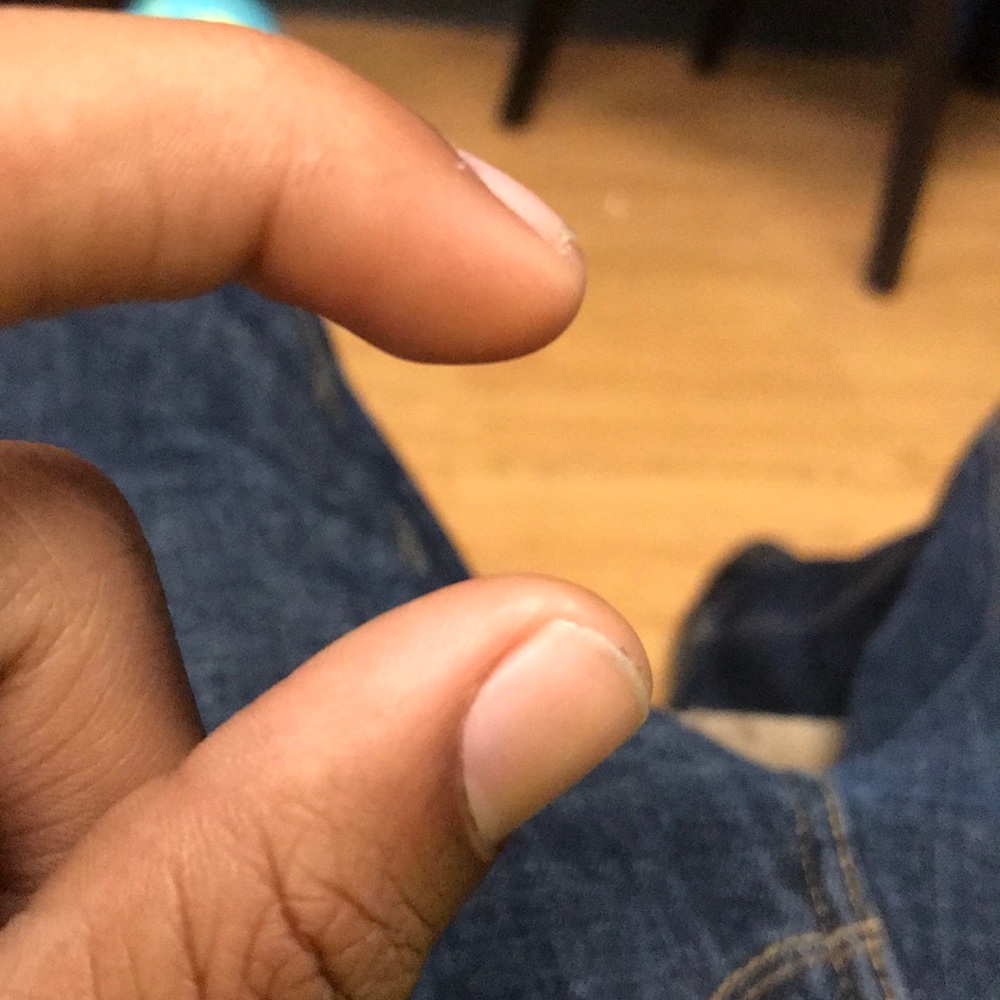 Meet your Posher, Maurice